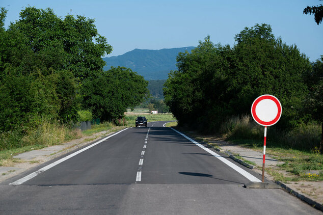 Poddolované územie v koši pomaličky ožíva - 20230703_Kos_cesta_003w