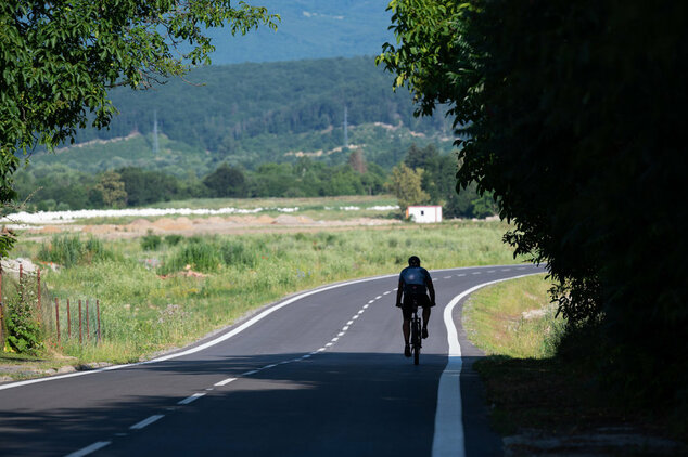 Poddolované územie v koši pomaličky ožíva - 20230703_Kos_cesta_005w